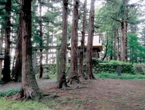 塚之宮八幡宮社叢林(画像)
