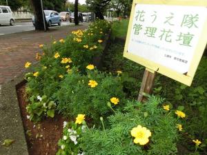 花うえ隊が管理している花壇（写真）