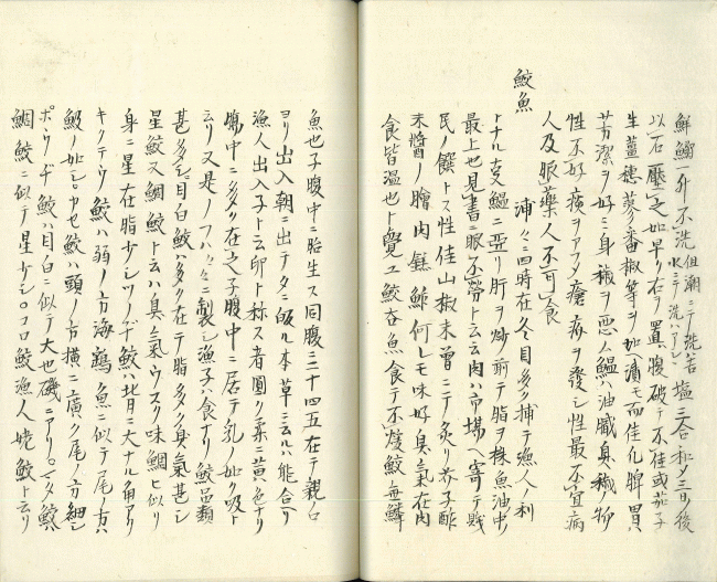 資料1(画像)