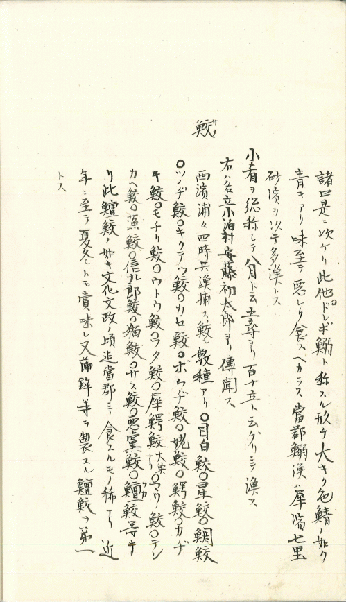 資料2(画像)