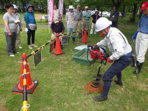 桜守の活動紹介（写真）