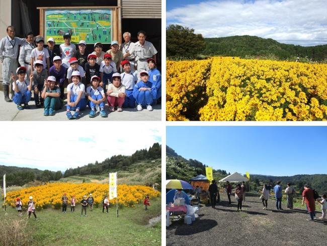 安塚区柳葉ひまわりの写真