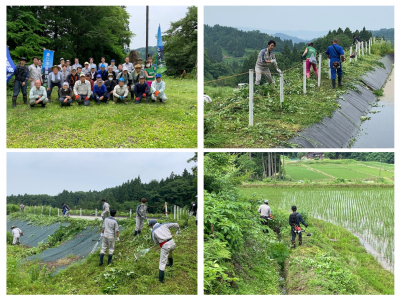 6月18日　中山間地域支え隊　牧区高尾集落　活動の様子（4枚組写真）左上：集合写真、他3枚：作業の様子