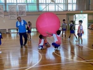 ニュースポーツ体験会、体育館での活動様子(写真)