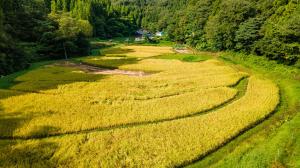 正善寺の棚田の遠景写真
