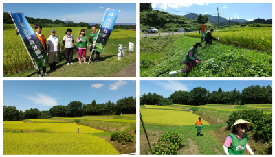 中山間地域支え隊 9月4日 板倉区筒方及び関田 ソーラーライト撤去作業の様子(写真)