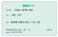 通知カード見本