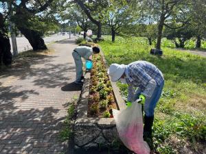 除草作業の様子(写真)