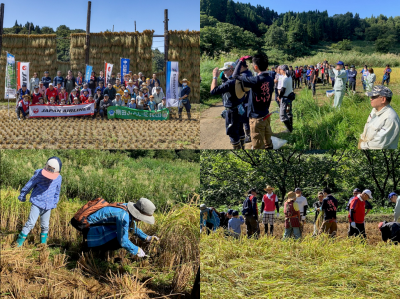 中山間地域支え隊 牧区棚広 稲刈りの様子(写真)