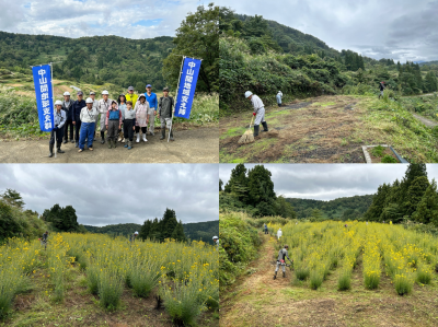 中山間地域支え隊 安塚区朴の木 10月1日 作業の様子(写真)
