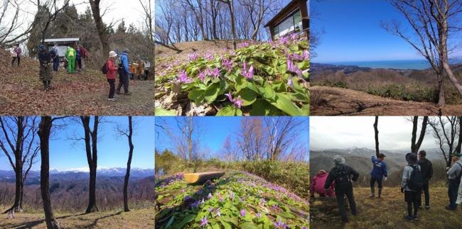 カタクリ及び城ケ峰の様子（6枚組写真）