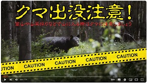 クマ注意（YouTube画面）