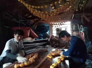 干し柿づくりを体験する様子