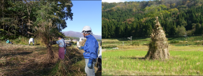 11月から萱を刈ってさいの神へ備えます（11月の写真）