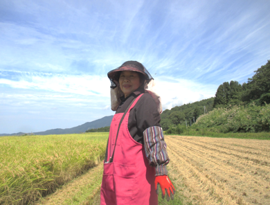 農作業中の一コマ。田んぼと空の風景（写真）