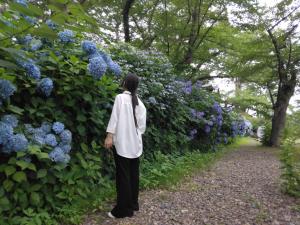 新井さんと紫陽花の写真