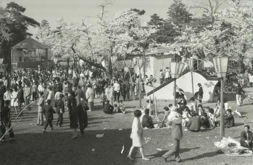 広報写真「1969年の観桜会」（画像）
