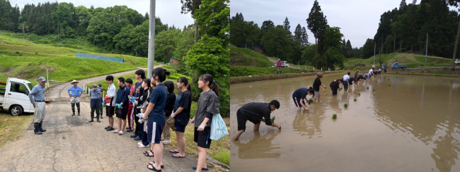 高崎経済大学の学生と田植え作業（写真）
