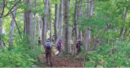 山道を歩く様子（写真）
