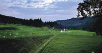 LEDライトが灯る幻想的な棚田の風景（写真）