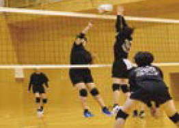 体育館での練習の様子（写真）