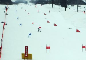 斜面を滑るスキー選手の様子（写真）