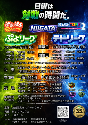 NIIGATAぷよリーグ・NIIGATAテトリーグ　チラシ（画像）