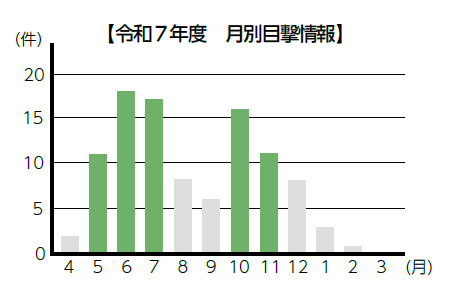 令和7年度　月別目撃情報（グラフ）