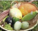 上越野菜（写真）